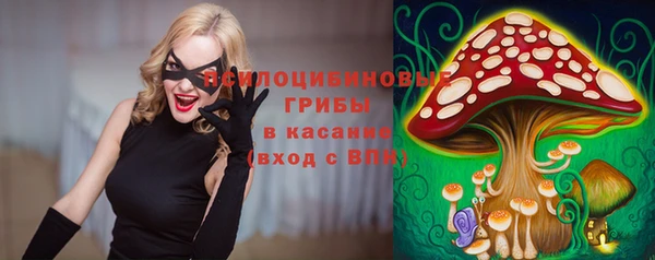 герыч Бородино