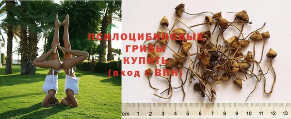 дистиллят марихуана Бронницы