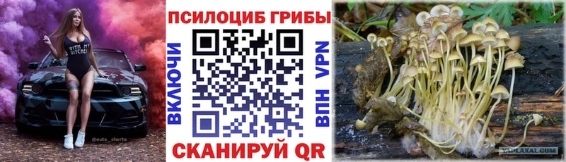 MEGA ссылка  продажа наркотиков  Старый Оскол  Галлюциногенные грибы GOLDEN TEACHER 